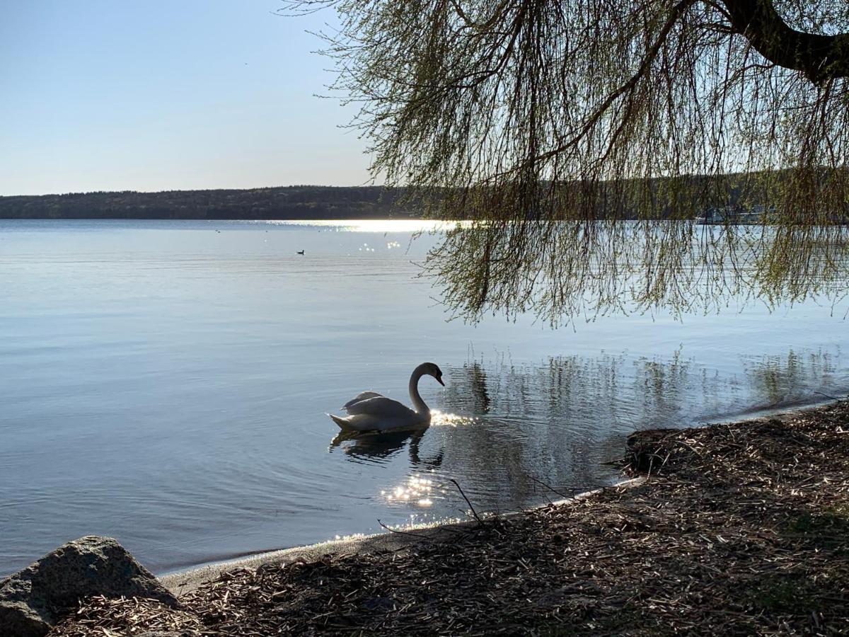 Ferienwohnung Kranichnest Neubrandenburg Exteriör bild
